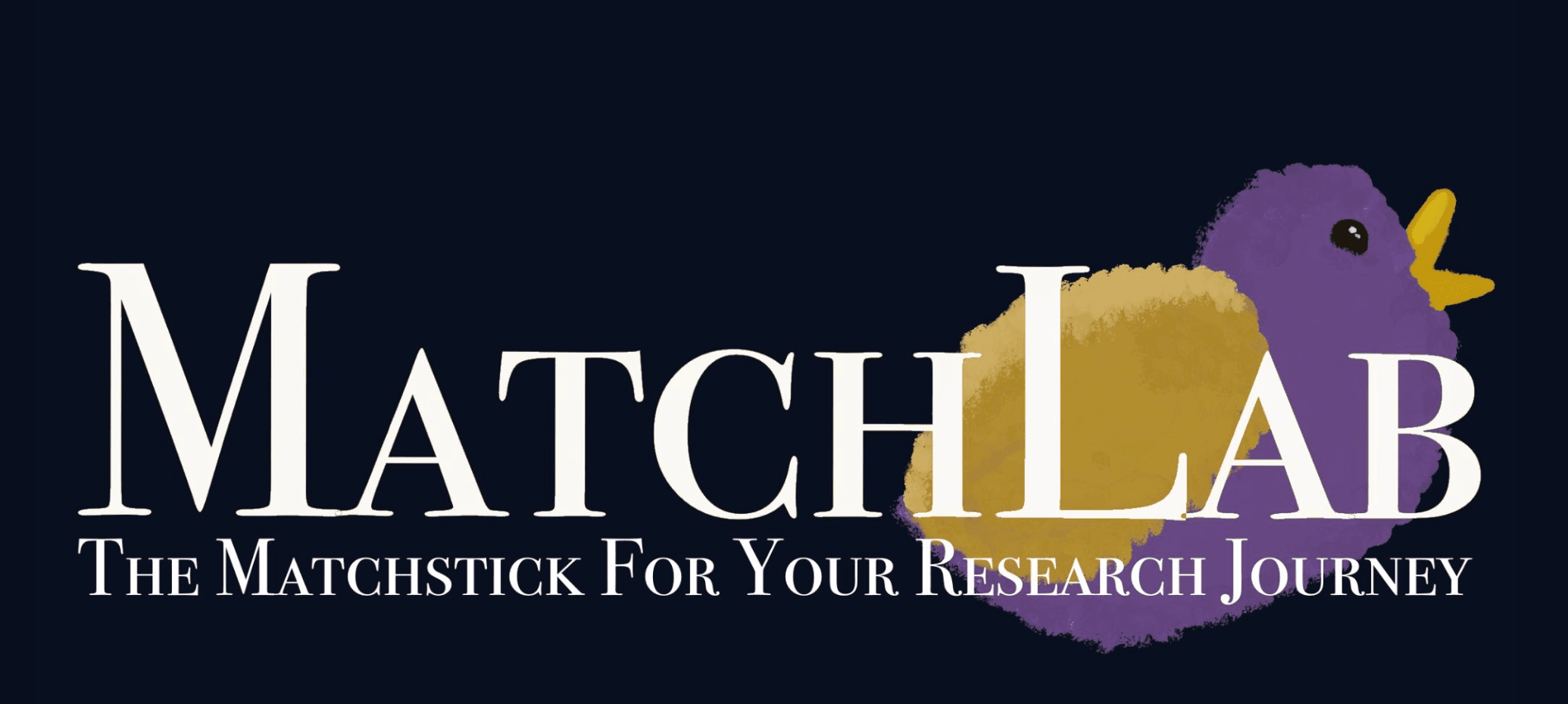 MatchLab
