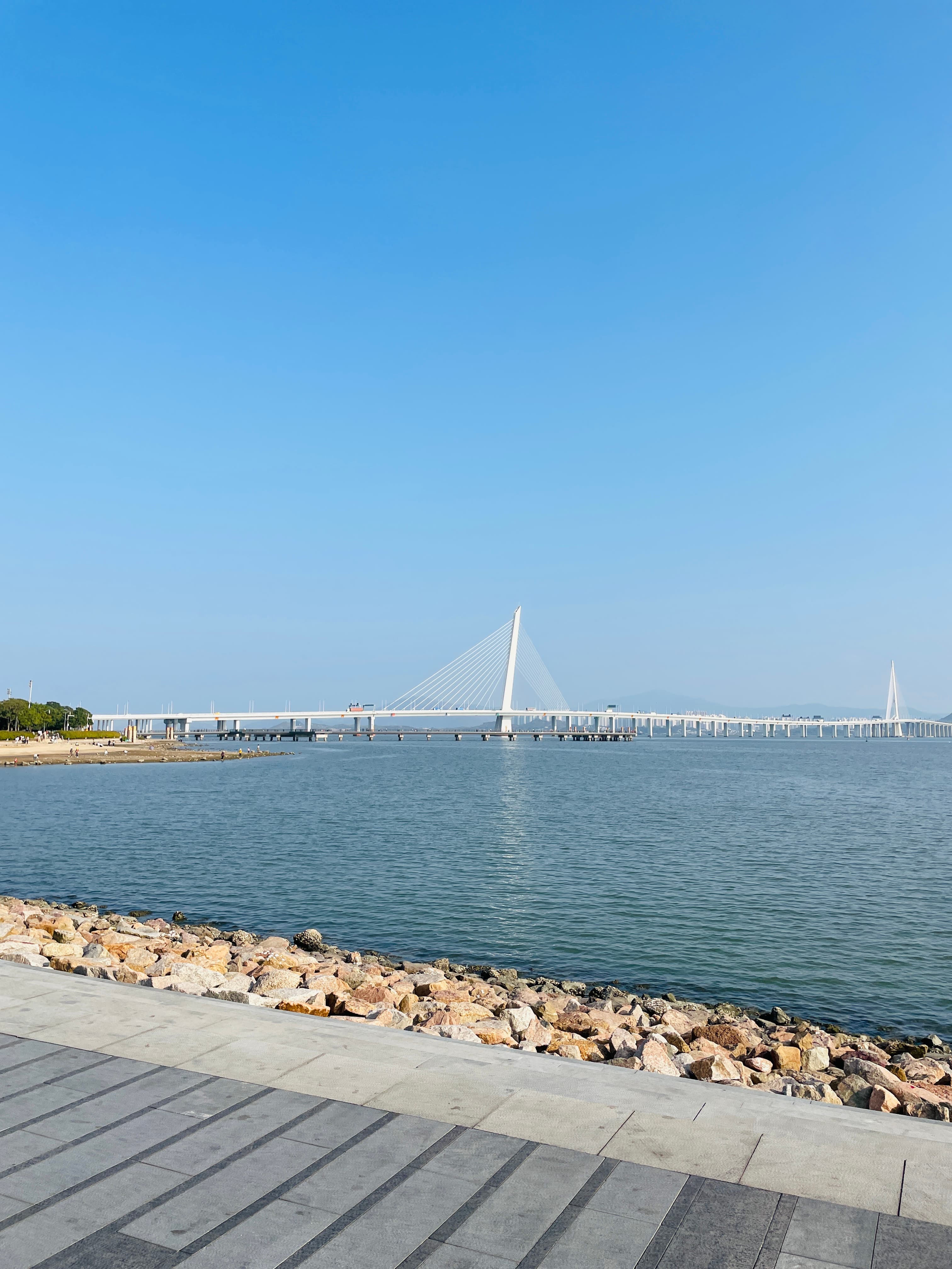 Shenzhen Bay
